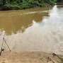 Mancing Ikan Gabus Sangat Mudah Cukup Menggunakan Umpan